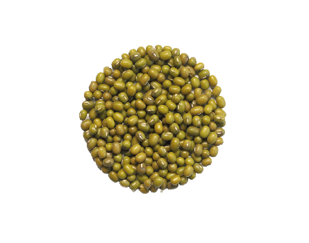 Mungobohnen Samen für das Sprossenglas (50g)