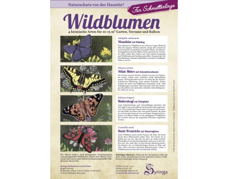 Samen-Set für Schmetterlinge, Wildblumen