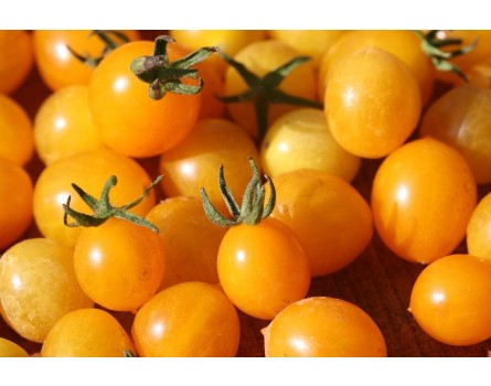 Tomatenvielfalt