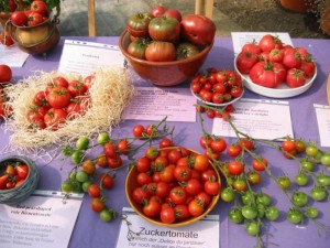 Tomatenraritäten