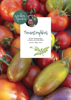 Garten Fräulein Tomatenfibel