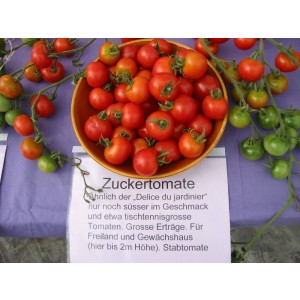 Tomate, Zuckertomate (Bio-Saatgut)