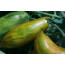 Green Sausage
